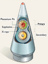 Reconsidering U.S. Plutonium Pit Production Plans